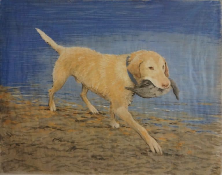 A Good Dog In Color Kitty Williams - 34x42
