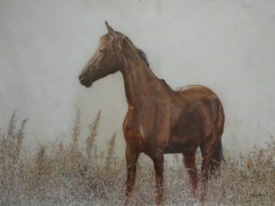 Young Horse in a Field - Kitty Williams - 43x63